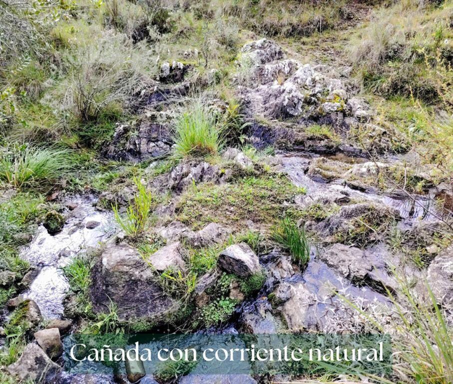 Chacra en Venta entre Ruta 12 y Ruta 60