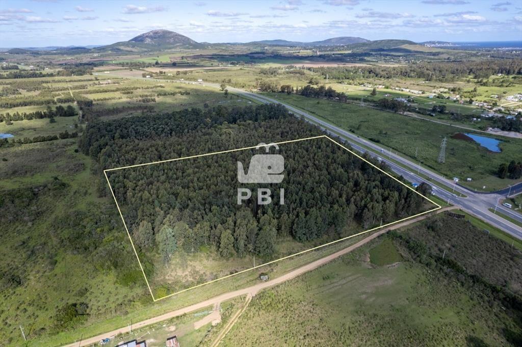 Chacra de 5Has sobre Ruta Interbalnearia, Las Flores - Ref