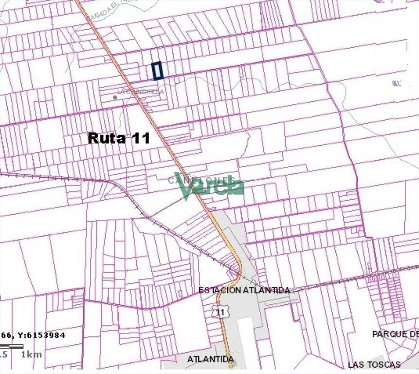 Venta Chacra, próxima a Ruta 11, de 3 has. 4450