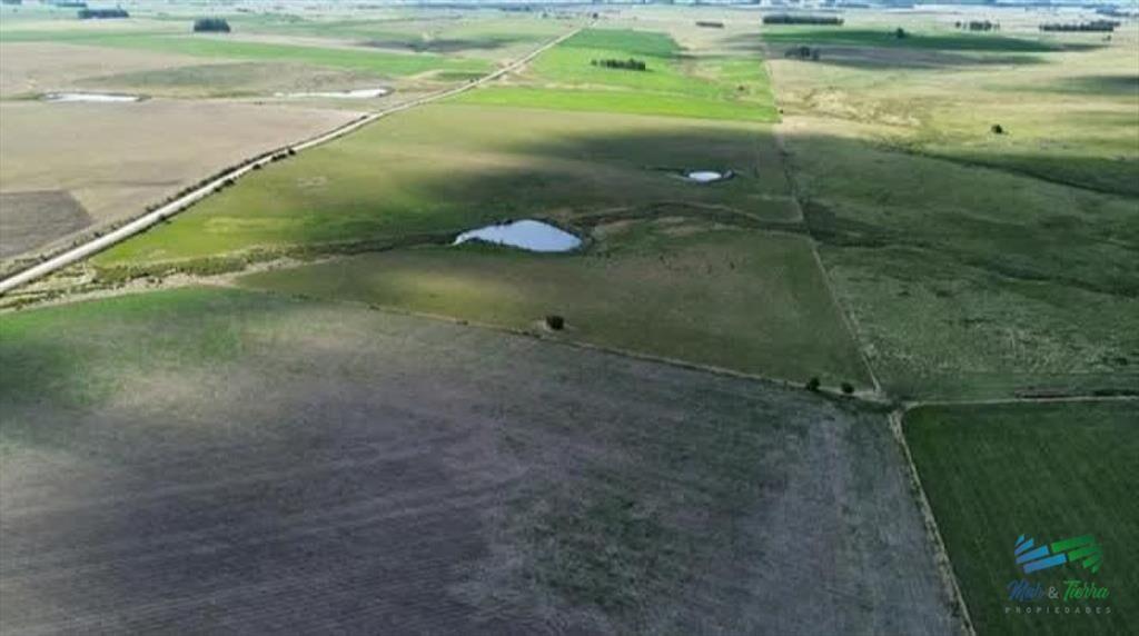 150 Has Campo Agrícola Ganadero a tan solo 10 de