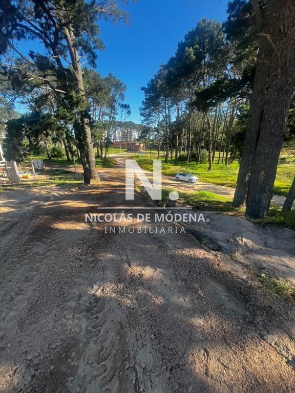 Terrero en venta de 1540mts2 en piedras del a del