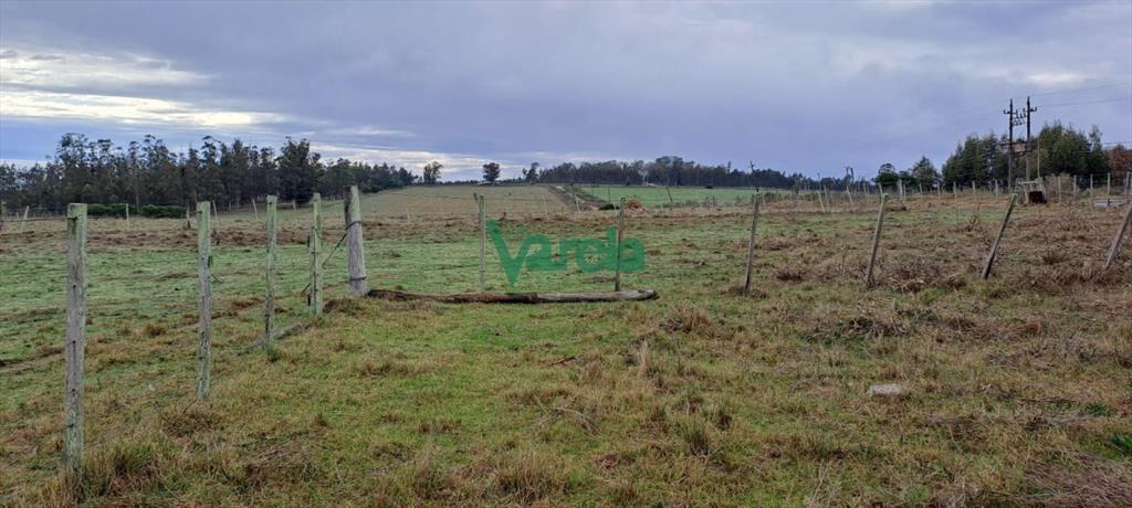 Venta de Chacra, Ruta 11, km.152, de 3,5 has. a
