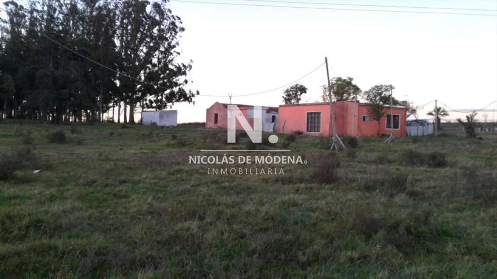 Campo próximo a ruta 12