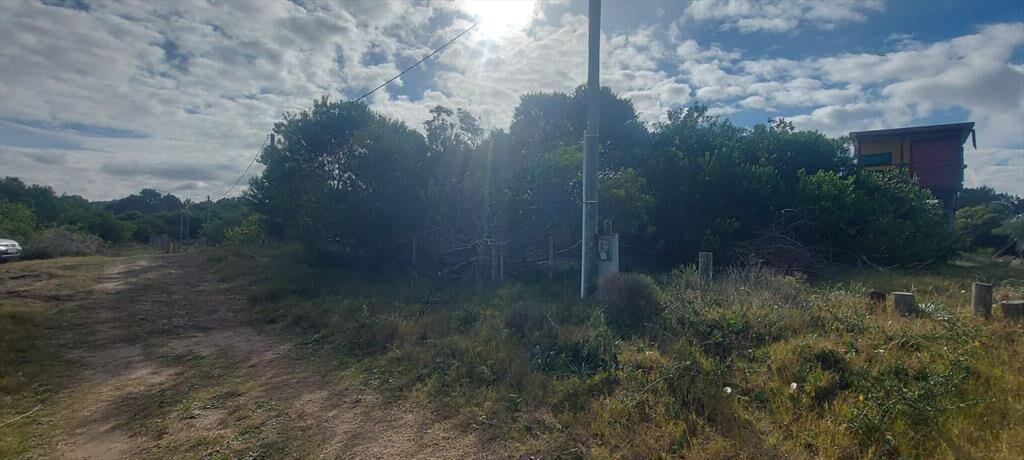 Terreno en Punta Rubia, Naturaleza, playa y futuro