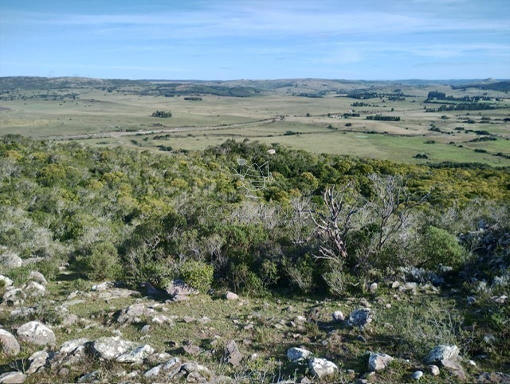 Campo en Lavalleja - 79 has con 8432 m2 -