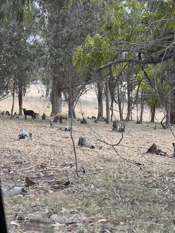 Chacra de 10 ha en venta en Garzón a 15 minutos de José Ign
