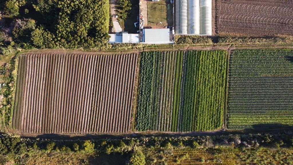 OPORTUNIDAD 900 MT TERRENO SAN JOSE CARRASCO
