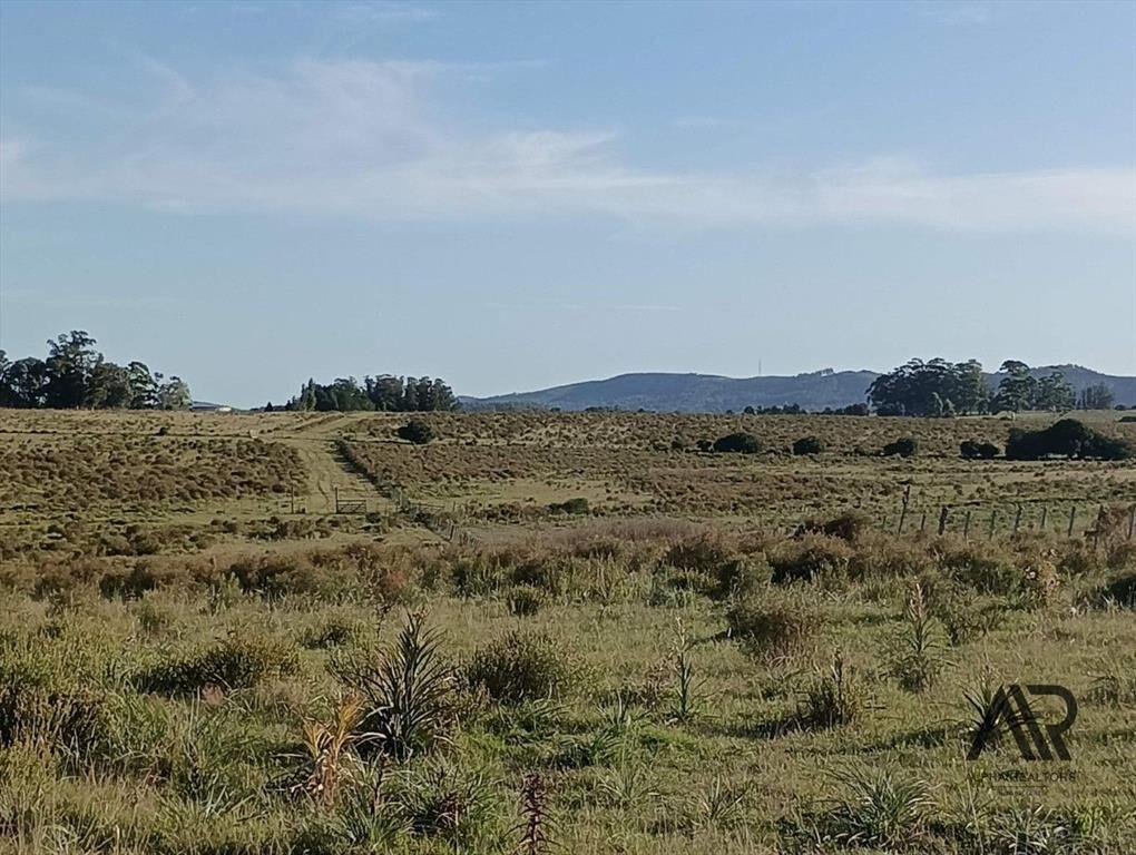 Venta Muy Buen Campo De 78 Hectáreas, Zona Muy Accesible...