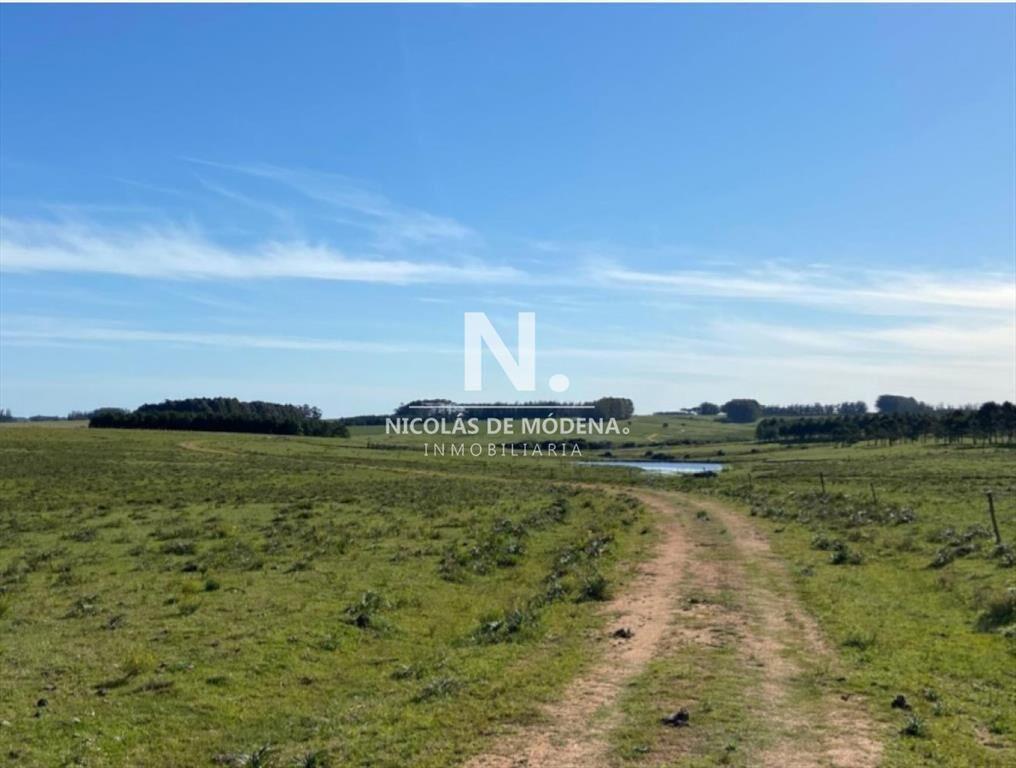Gran campo en Maldonado
