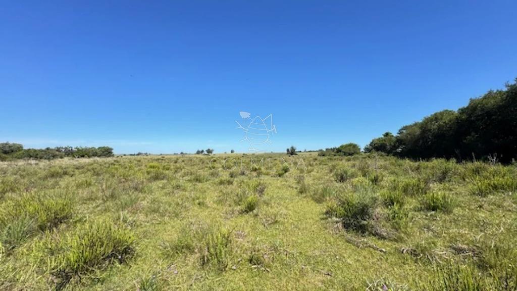 Se venden 2 chacras a 15 km de San Carlos