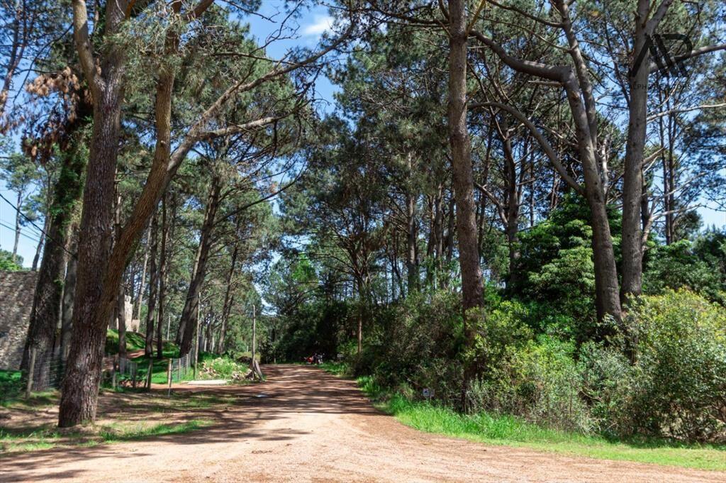 Terreno en venta de 1750m2 ubicado en Solanas