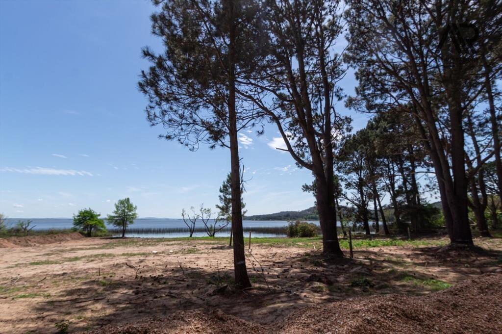 Terreno en venta de 1350m2 ubicado en Solanas