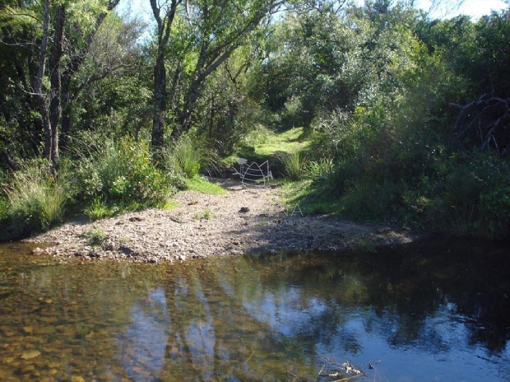 Campo 98 has con 2891 m2 en Carape cuenta con de