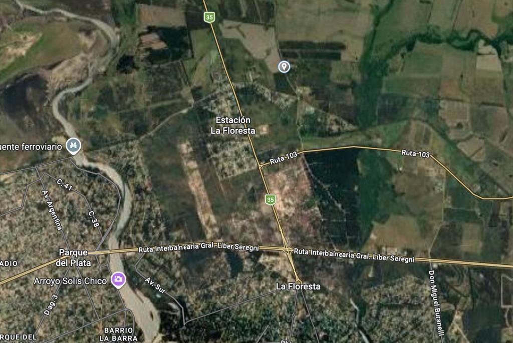 Terreno en Estación la Floresta 4,9 hectáreas