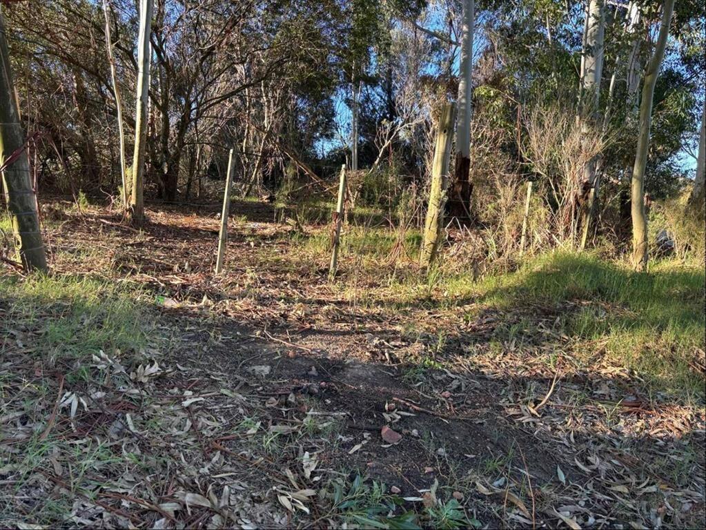 CHACRA 2 HÁ PRÓXIMO RUTA 34 Venta Empalme Olmos Costa de Oro