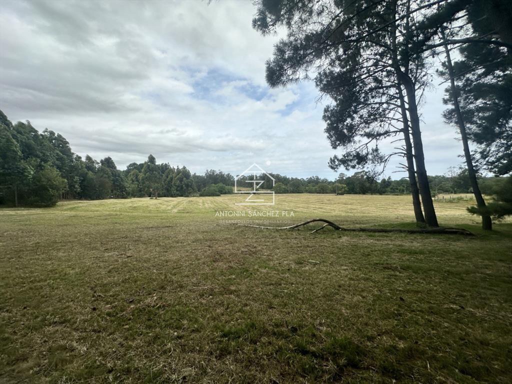 Venta chacra en punta Ballena