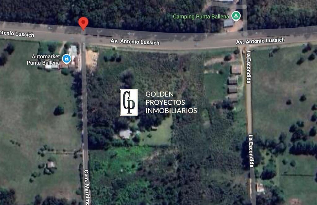 Terreno en venta Puta Ballena