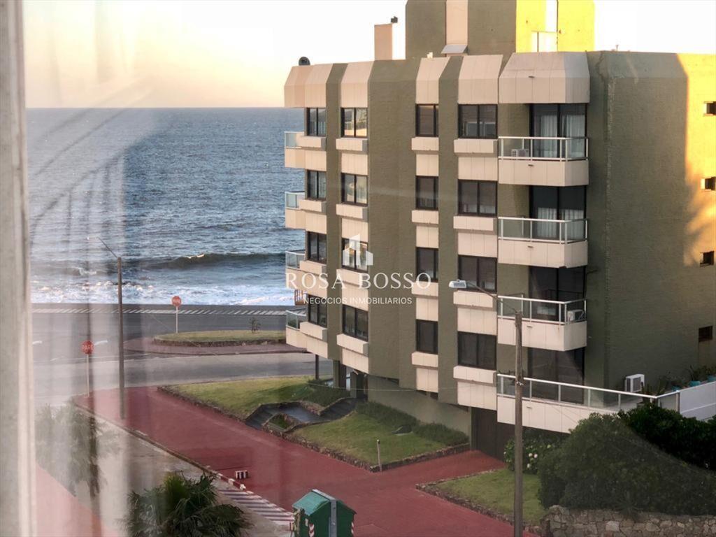 a pocos metros del Puerto de Punta del Este