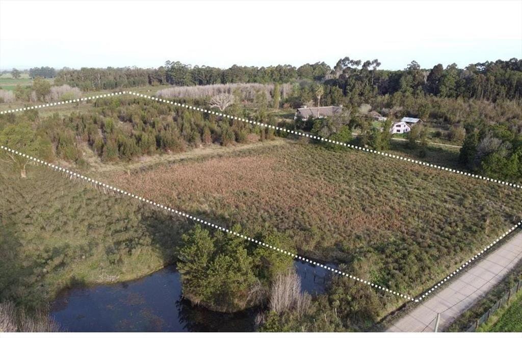 Venta de Campo 3 Ha. en Ruta 8 Km.45 Empalme Olmos