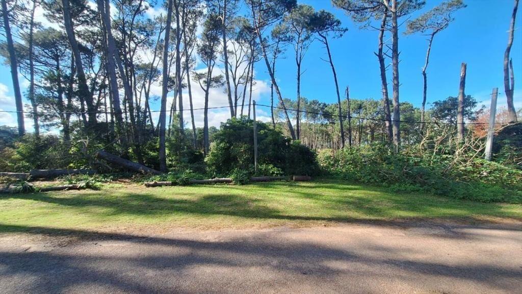 Venta Terreno Punta Ballena a 200Mts del Mar zona en exp...