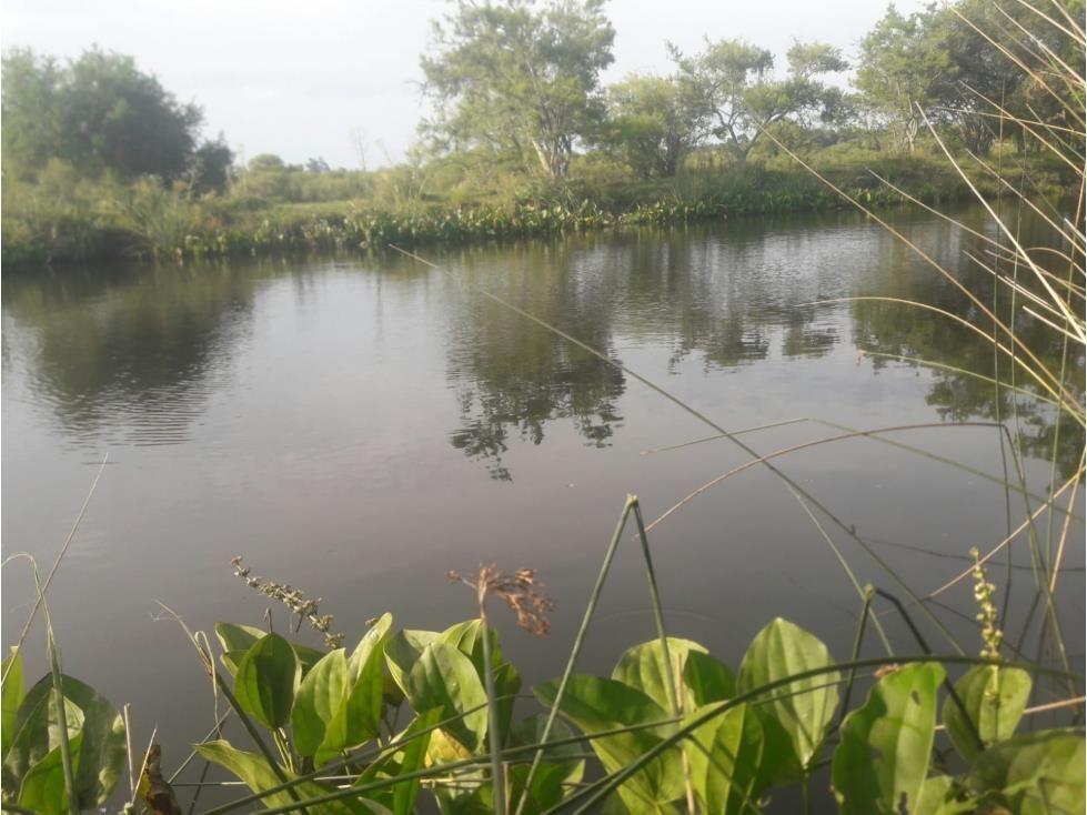 AL1086/P venta campo 53 hectareas en Estacion Solis Minas La