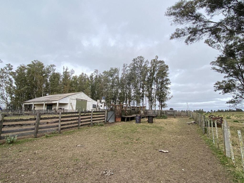 Campo Ganadero I Maldonado I 313 has