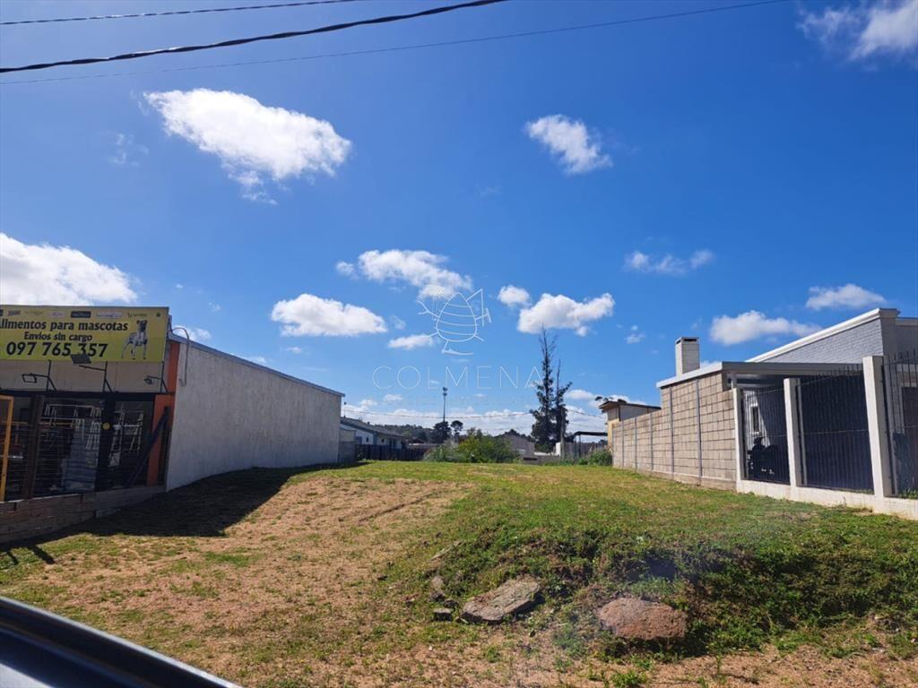 Vende terreno sobre avenida Leandro Gomez,