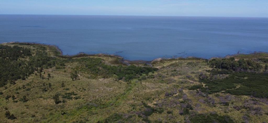 VENTA CHACRA PUNTA YEGUAS 33 HAS