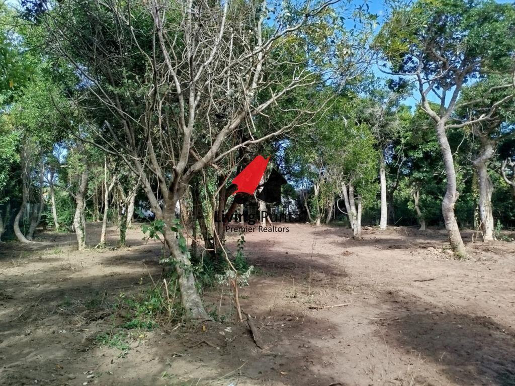 Hermoso terreno