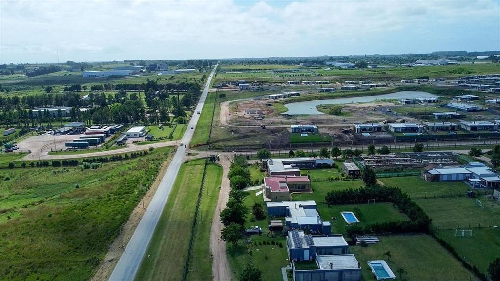 VENTA LOTE TERRENO 4HA. CAMINO DE LOS AROMOS