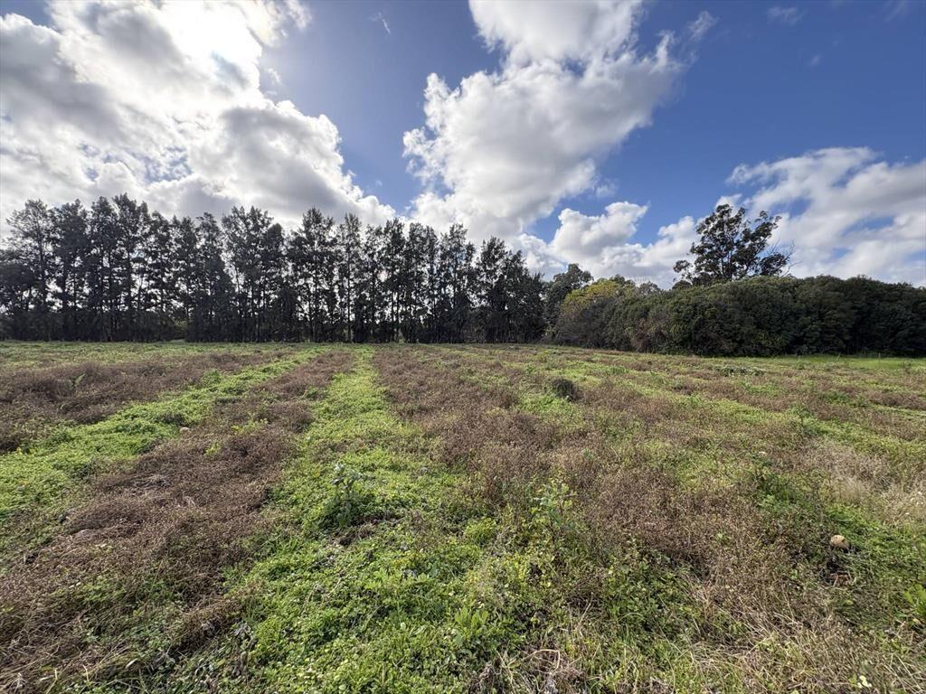 Venta de Terreno con 20000 Mts en Paso de la Arena
