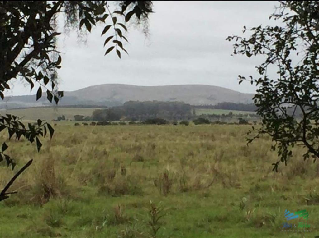 128 Has a 3 Kms de R.9 Lindo campito e invernada