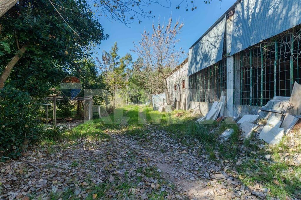 Alquiler de galpon 300M2 a minutos de Atlantida