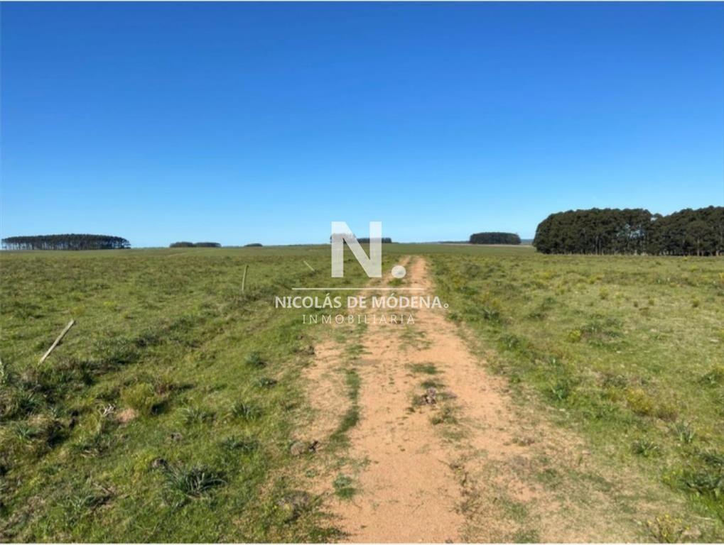 Gran campo en Maldonado