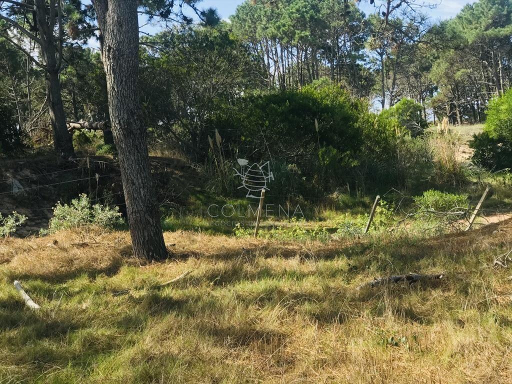 Venta terreno esquinero en Manantiales