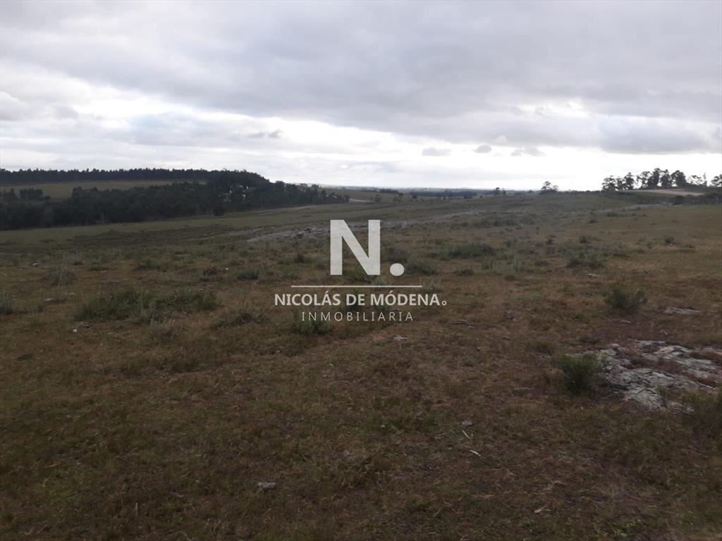 Campo de 47 has en Paraje los Caracoles - !!!!!