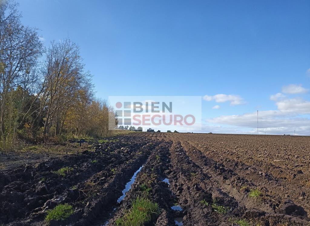 Chacra de casi 7 hás. en venta en Canelones, Próximo a Ruta