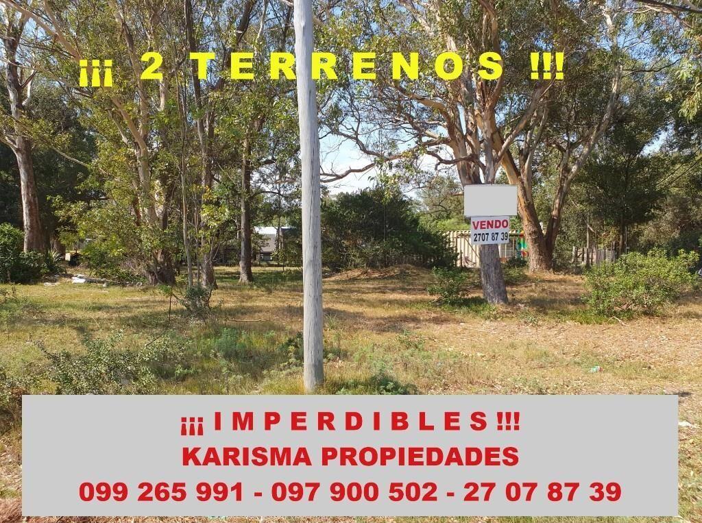 IMPERDIBLES DOS TERRENOS COLINDANTES A MTRS DEL MAR .