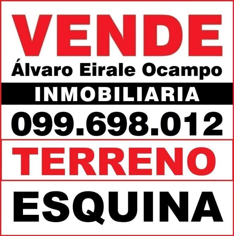 # ZONA A N V Br. ARTIGAS TERRENO 4.000 m2