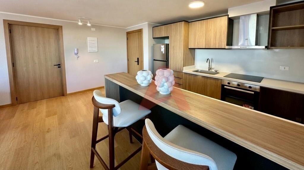 1 DORMITORIO CON GRAN TERRAZA DE 19 M2 y GARAJE - AMOBLADO