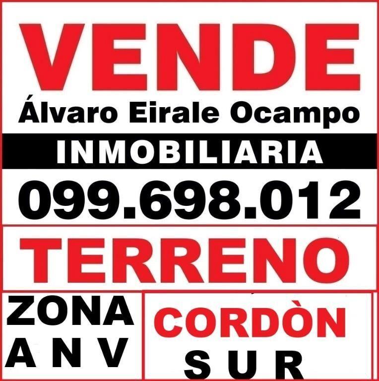* ZONA A N V CORDÒN SUR 11.X 29.= 333 m2 Alt. 27 mts.