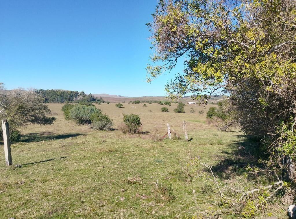 Campo 23 há, (tambo, ganadero, agrícola)