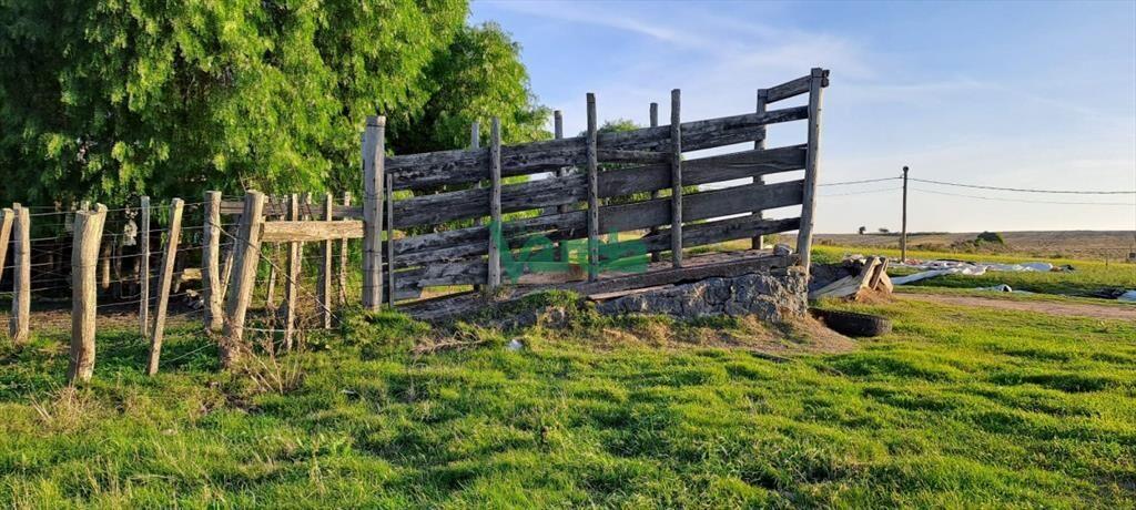 Campo 108 has. próximo a San Jacinto