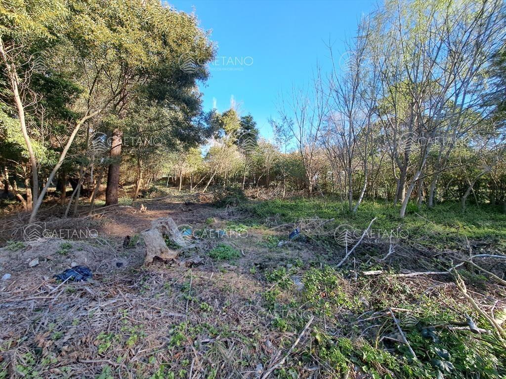 Venta de lote 650 M2 Rincón del Indio