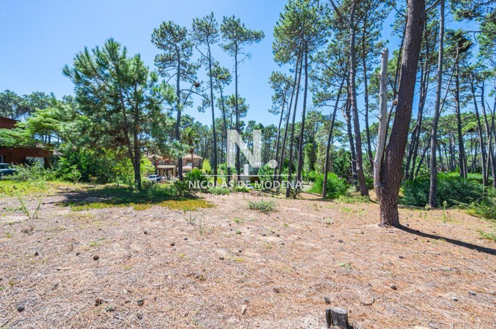 Vende terreno en Laguna Blanca.