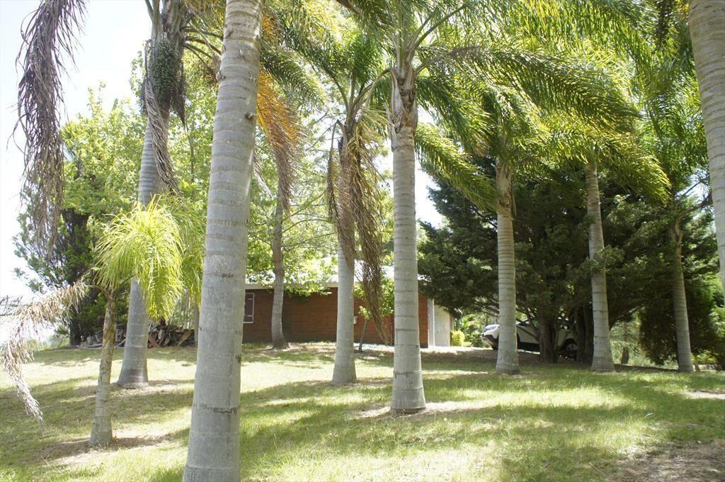 Venta Chacra Marítima Rocha 32ha Ruta 10 Lado Sur cerca del