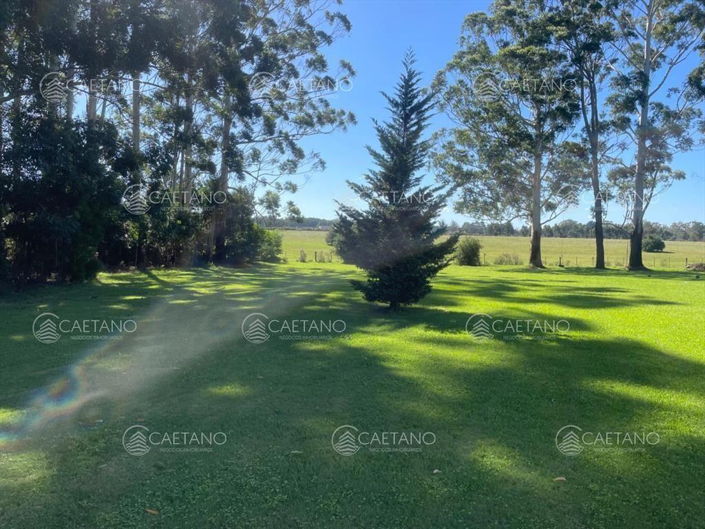 Vende impresionante casa en Punta Ballena de 2