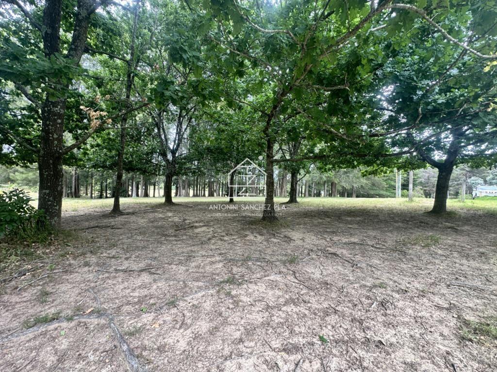 Venta chacra en punta Ballena