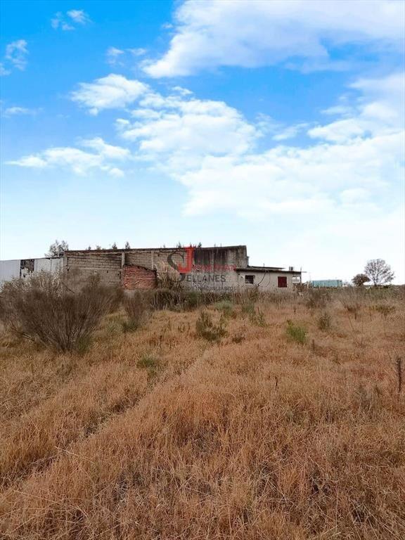 Casa 3 Dormitorios, Galpón amplio y apto completo de 1 dorm