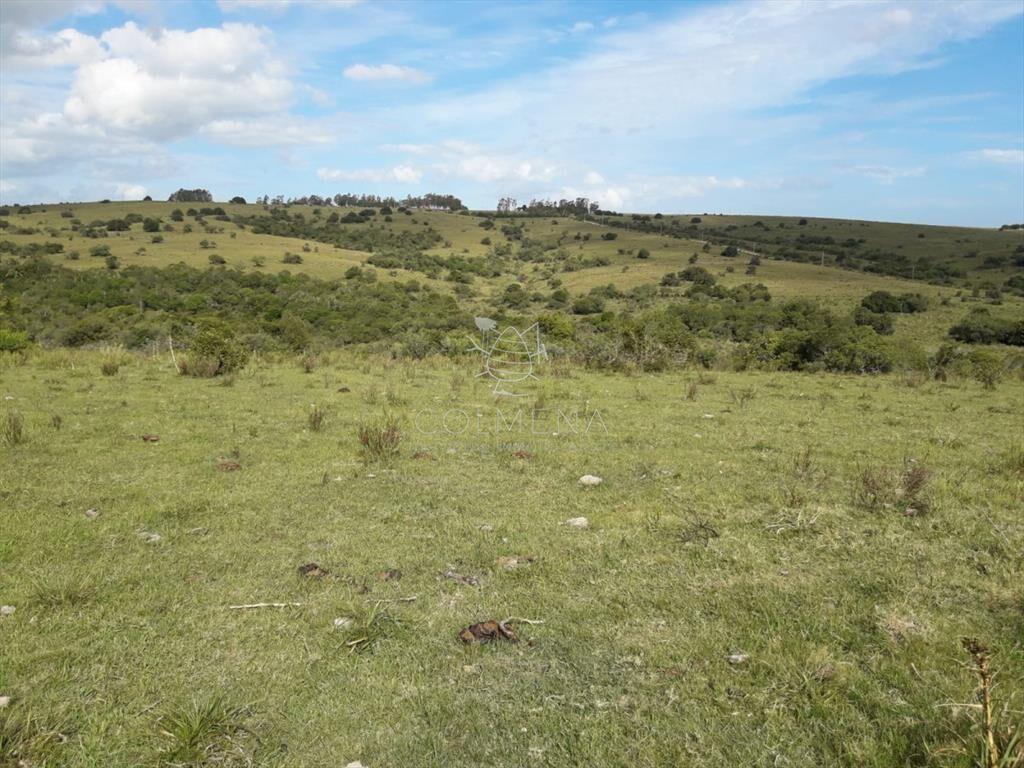 Campo cerca de Pueblo Eden - Consulte !!!!!!!